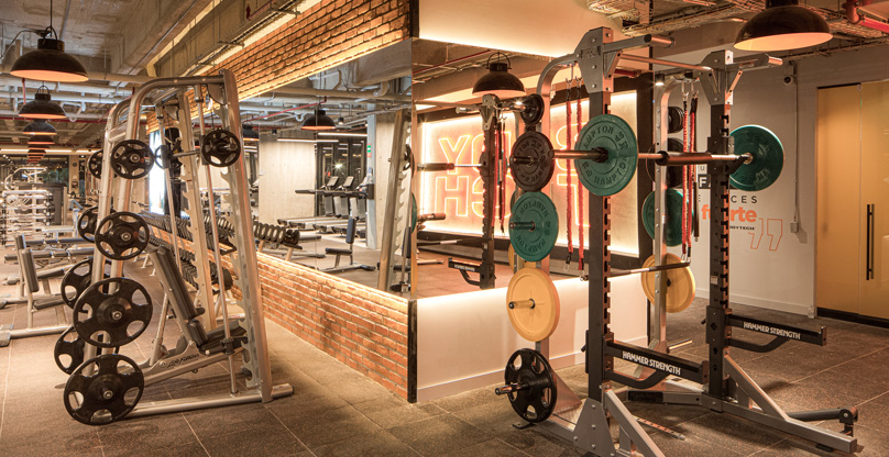 Zona-Musculacion-808x416